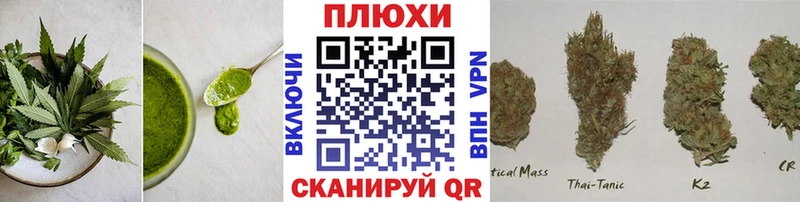 Cannafood марихуана  Купить закладки  Подпорожье 