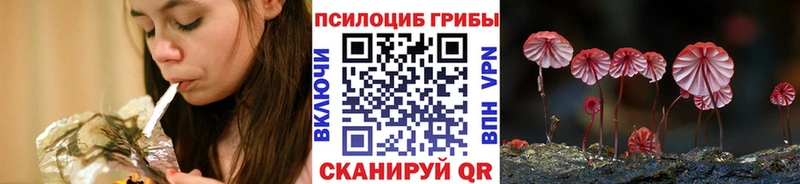 Купить закладки  Подпорожье  Псилоцибиновые грибы мухоморы 